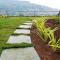 Polsburg Panchgani