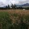 Skyline Glamping Guasca