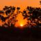 Arusha Holiday Safari