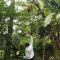 Arusha Holiday Safari