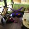 Pangkor Guesthouse SPK