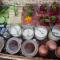 Schweiggerhof -Agriturismo- Farm Holidays