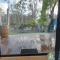 Adelphi Apartment 6 Riverview 2 BDRM or 6A King Studio Riverview both with balconies