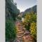 Clos Saint Jacques