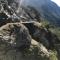 Apart Alp Line