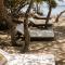Fragata Island House