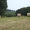 Cottage - Sleeps 4 with Log Burner & Pet Friendly