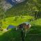 Chalet Swissalp Top Flitterwochen, Auszeit, Erholung