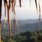 Taorayiná nature lodge- immersed in the forest - 埃尔扎伊诺