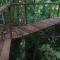 Taorayiná nature lodge- immersed in the forest - 埃尔扎伊诺