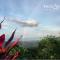 Taorayiná nature lodge- immersed in the forest - 埃尔扎伊诺