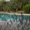 Trullo della Fontana di Sant’Anna - Max 10 guests, infinity swimming pool, 5 bedrooms, 4 bathrooms, wonderful garden