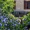 La Bastide Portoly B&B "Pruneaux" - Penne-dʼAgenais