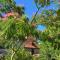 La Bastide Portoly B&B "Pruneaux"