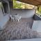 Guest House 59