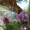 Motel Krstac - Mojkovac