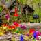 Panketo Lodge & Yoga Studio