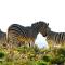 Inverdoorn Game Reserve Lodge