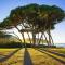 Il Balcone sull'Elba - 皮昂比诺
