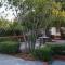 Pine tree beachfront villa