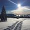 Chaleureux appartement aux pieds des pistes