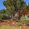 MySedonaGold, The Place to Chill in Sedona - Sedona