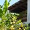 Relais de Bravone