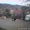 Camping Aviator Busteni, Parcela campare Corturi