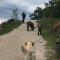 MILLIEs hosting - Familienurlaub mit Hund in Kärnten - Sankt Paul im Lavanttal