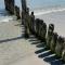 Ferienhaus Sanddorn Breege- zwischen Bodden & Meer