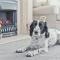 Kents Bank Holiday - Pet Friendly with Bay Views