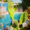 Tropical Breeze "Dushi Bida"
