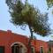 Petra - Country House - Monteroni di Lecce