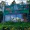 Finca Neblina del Bosque