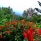 Finca Neblina del Bosque