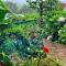 Finca Neblina del Bosque