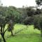 Toodyay Manor