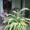 Rumah Sawah