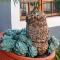 Woodii Guest House