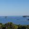 The Istrian