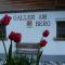 Galler am Berg