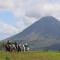 Pie in the Sky 1 Gorgeous Cottage with spectacular scenic views