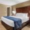 Comfort Inn Sunnyvale - Silicon Valley