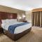 Comfort Inn Sunnyvale - Silicon Valley