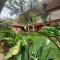 Hotel Casa Merced