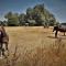 Ferme Equestre Les Coccinelles