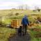 Cosy 2 bedroom Log Cabin in Snowdonia Cabin151 - Trawsfynydd