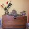 B&B Miroca