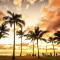 Charming Hawaiian Monarch Studio