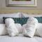 Luxurious Studio in Heart of San Diego w Cali King
